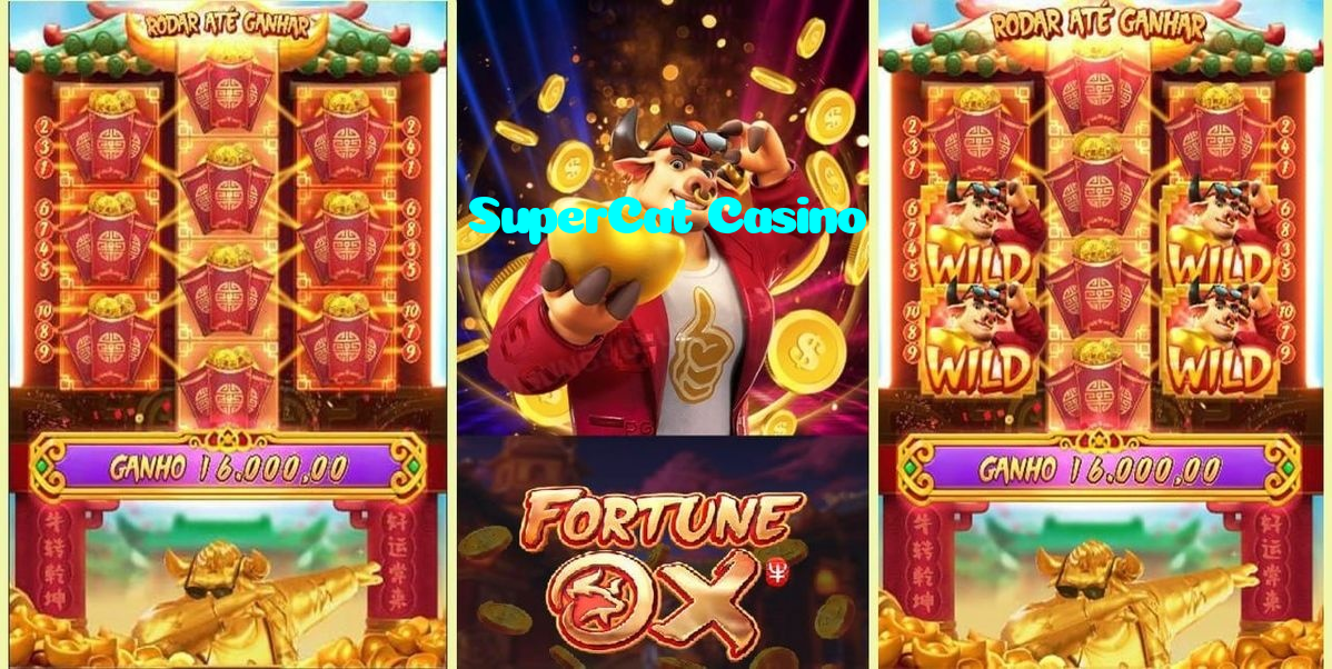 making first deposit on SuperCat Casino website using local payment methods in Pakistan