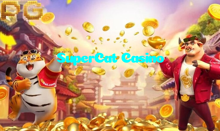SuperCat Casino casino presented on mobile device in Pakistan with slots and live games