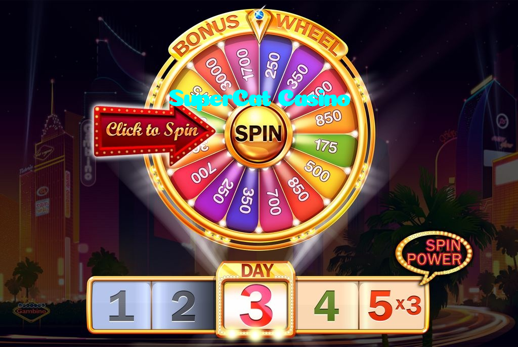 available types of SuperCat Casino bet including pre-match live express and system bets