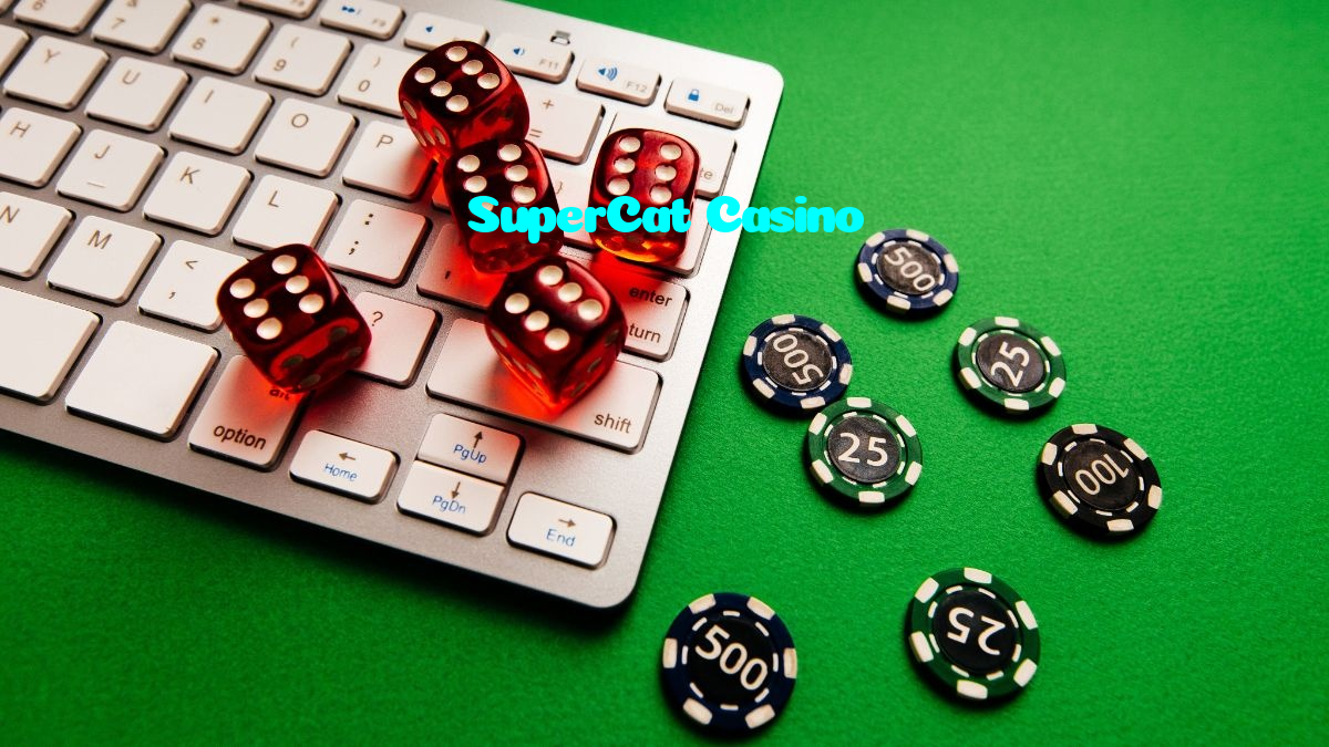 available types of SuperCat Casino bet including pre-match live express and system bets