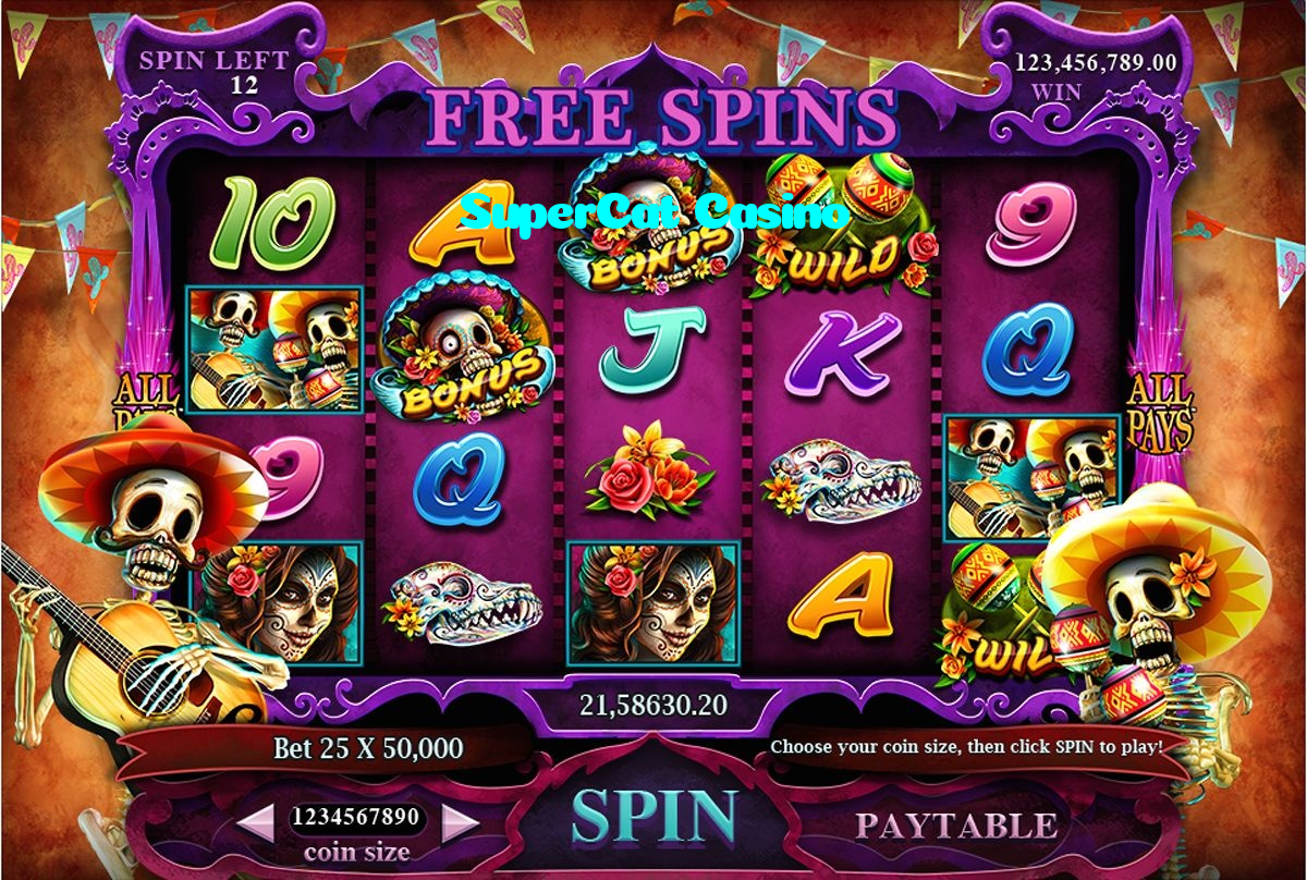 SuperCat Casino casino presented on mobile device in Pakistan with slots and live games